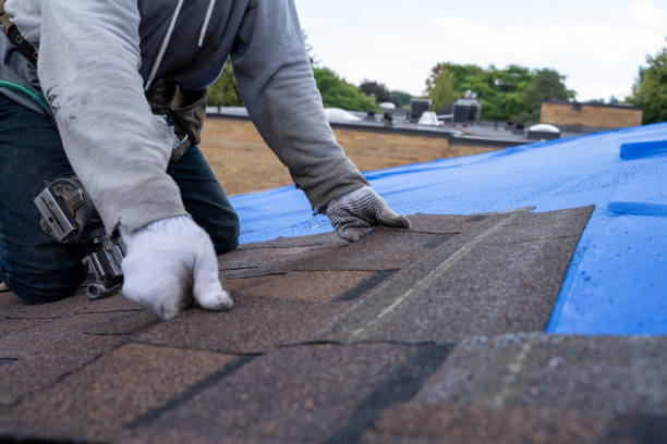 Best Roof Repair Services  in Wright City, MO
