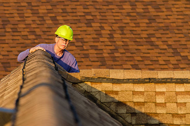 Best Roofing Contractor Near Me  in Wright City, MO